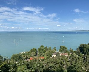 2024-es leltár - 234 cikk jelent meg az oldalunkon