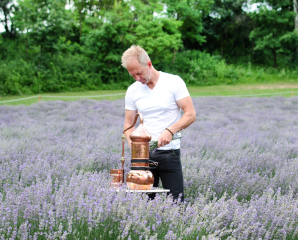 A Kőröshegyi Levendulás-sztori