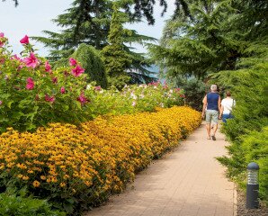 Arborétumi séták a Folly Arborétumban