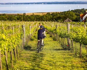 Balaton új ritmusban