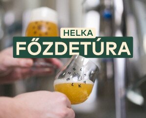 Főzdetúra Balatonföldváron