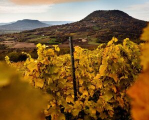 Gasztrohegy Badacsony