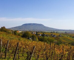 Gasztrohegy - Fish & Hill Badacsonyban