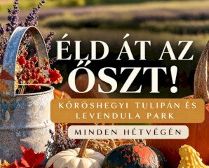 Hétvége a Kőröshegyi Tulipán és Levendulaparkban