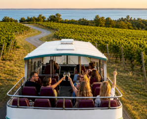 Hop-on hop-off borbusz a Balatonnál