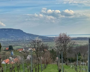 Kóstolj bele a Badacsonyba!