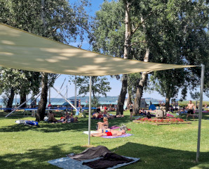 Miért ér többet egy öreg fa a Balatonon, mint egy új büfé?