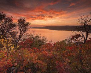 Ősszel is Balaton – a természetfotós szemével