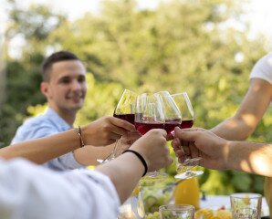 Pezseg a Balaton! Tavaszi Bormustra és GasztroParty Vonyarcvashegyen