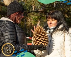 Tobozszüret a Follyban