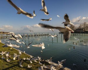 Utazás a Balaton körül