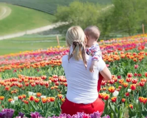 Virágospark a Balaton déli partján